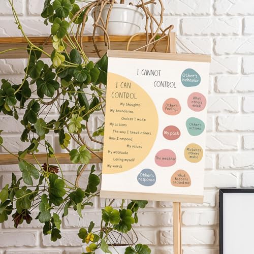 Things I Can Control Mental Health Poster with Hanger Frame - 12.5x17