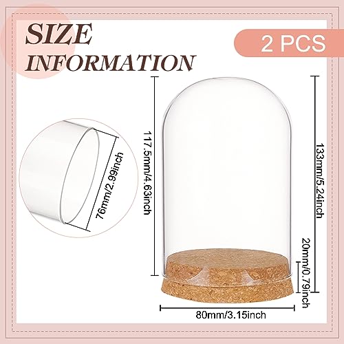 BENECREAT Set of 2 Glass Display Domes with Cork Base - 3.14x4.6 inch Cloche Jars for Flowers & Crafts