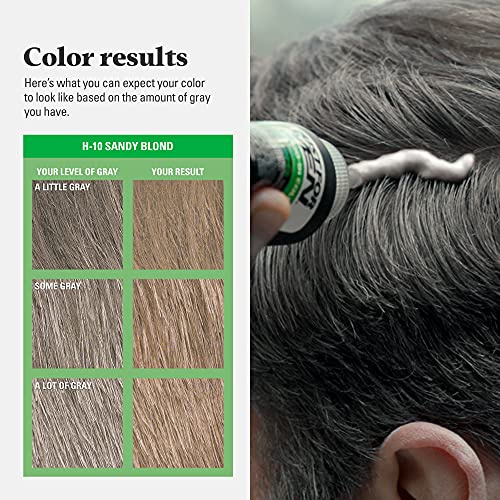 Just For Men Shampoo-In Hair Color, Sandy Blond (H-10), 2-Pack