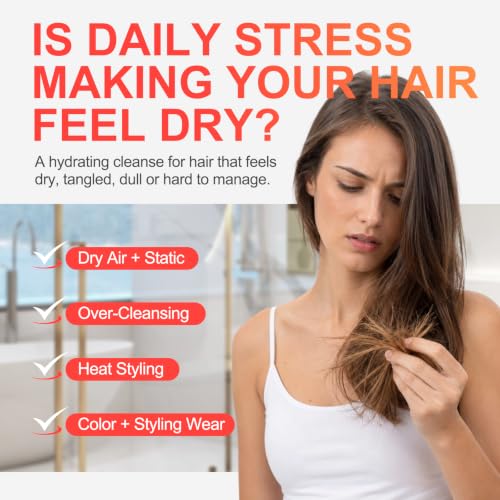 JBCA Hydrating Shampoo with Argan Oil, 12 fl oz - Moisture & Repair for Dry Hair