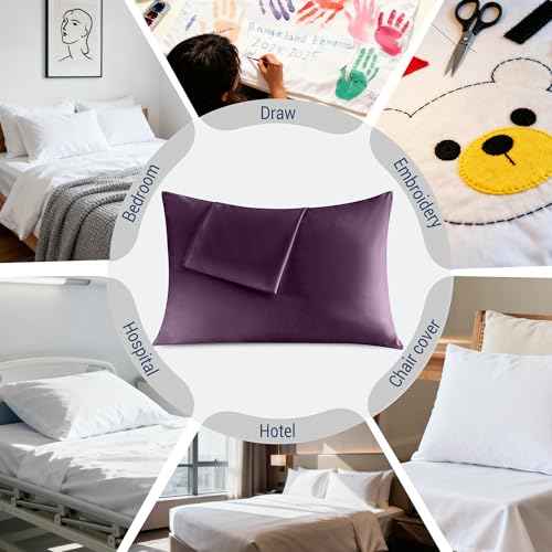 Standard Pillowcases Set of 4 - 20x26 Dark Purple Microfiber