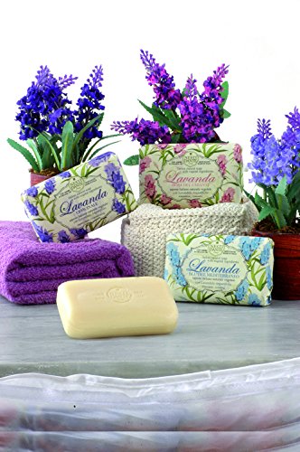 Nesti Dante Lavender Natural Soap - Rose del Chianti 5.29oz, Relaxing Italian Cleansing Bar
