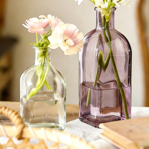 Coastal Style Glass Vase Set of 2 - Nordic Minimalist Decor
