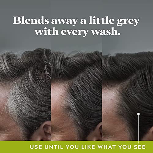 Just for Men Control GX Grey Reducing Shampoo for Natural Hair Color