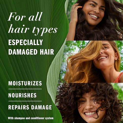 Herbal Essences Argan Oil Conditioner for Damaged Hair - 20.2 fl oz