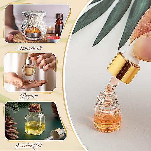 Didaey 1ml Champagne Gold Mini Glass Oil Dropper Bottles Set of 100