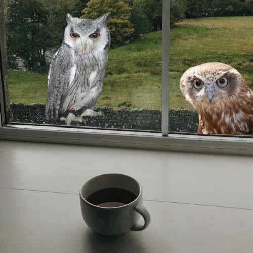 3D Realistic Owl Sticker Set - 20x20cm & 20x30cm Waterproof Vinyl Decals