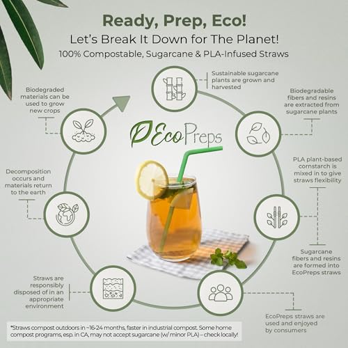 Eco-Friendly Biodegradable Sugarcane Straws - 120 Pack, Bendable & Compostable