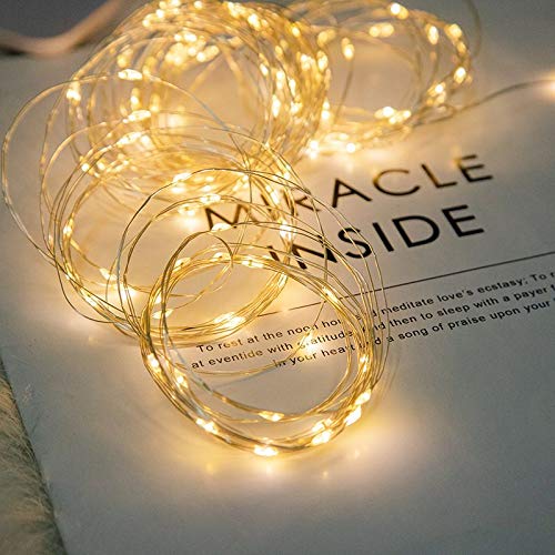 LIIDA LED Fairy String Lights - 12-Pack Mini Lights on Copper Wire