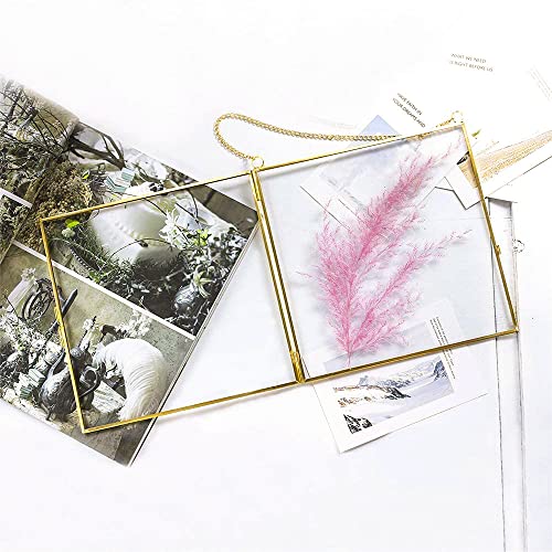 Square Pressed Flower Picture Frame - 6x6 Clear Glass Wall Art