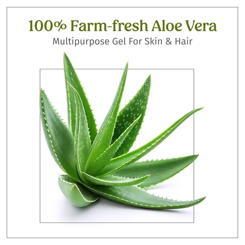 Vilvah Store 99% Pure Natural Aloe Vera Gel for Face, Skin, and Hair, 100g