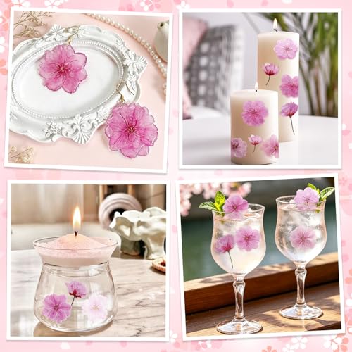 80 Pcs Natural Dried Cherry Blossoms - Edible Flower Decorations for Baking & Crafts