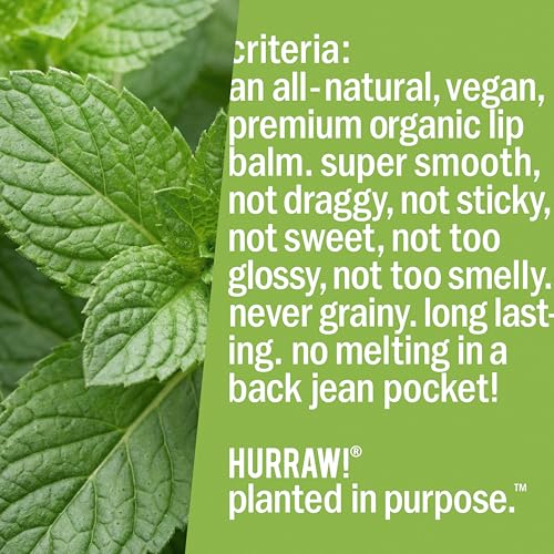 Hurraw! Organic Mint Lip Balm Set - 2 Pack, Certified Vegan & Cruelty-Free