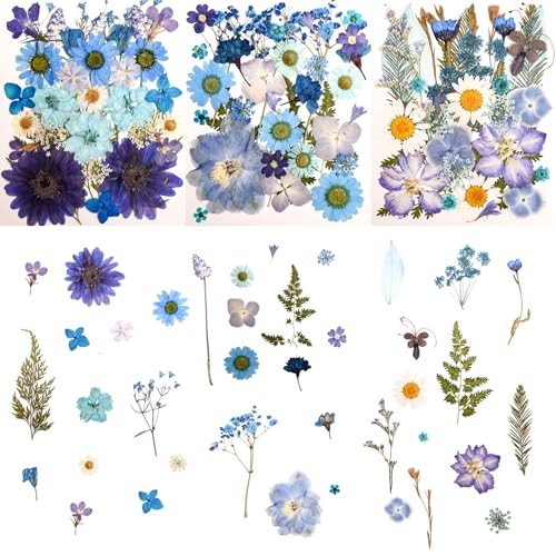 100 PCS Blue Pressed Dried Flowers with Tweezers for DIY Crafts