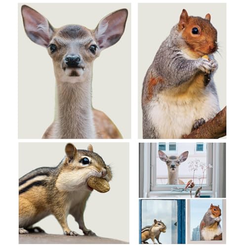 3 PCS Woodland Animal Window Stickers - Squirrels, Deer & Hamsters