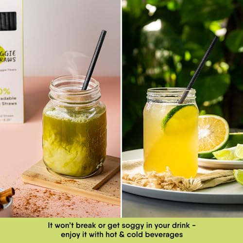 Biodegradable Black Straws - 100 Pack Eco-Friendly Drinking Straws