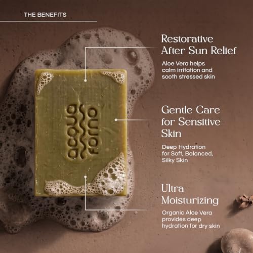 Acqua Forno Italian Olive Oil Castile Soap Bar with Aloe Vera, 5.2 oz