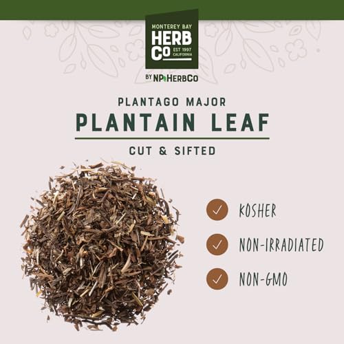Cut & Sifted Plantain Leaf Tea, Kosher 1/4 lb - Herb Co