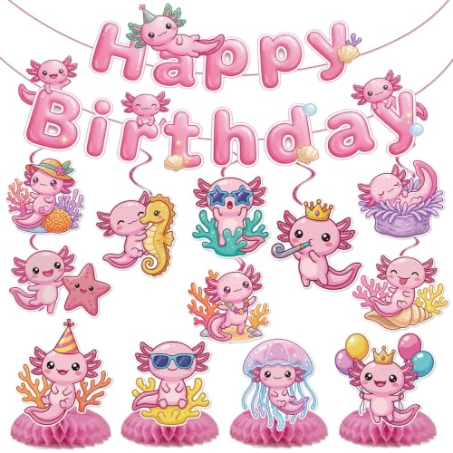 Axolotl Birthday Party Decorations - 22 Pcs Kit with Banners & Swirls