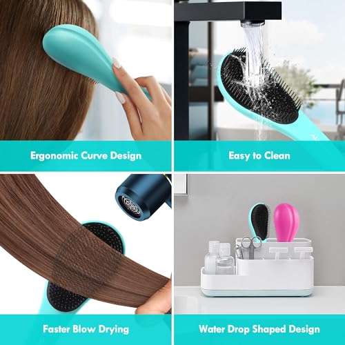 Aussumy Detangling Hair Brush Set - 2 Pack for Kids & Adults, Purple & Blue
