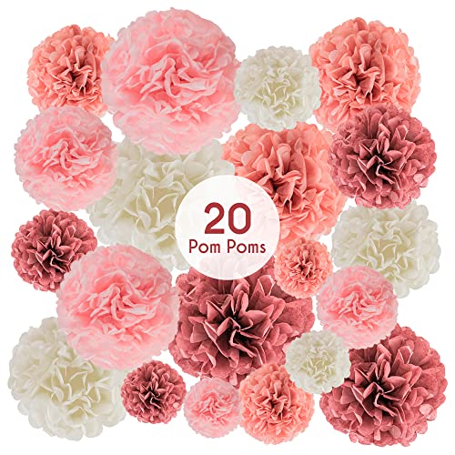 20 Piece Tissue Paper Pom Poms - Blush Pink, Mauve & Cream Party Decor