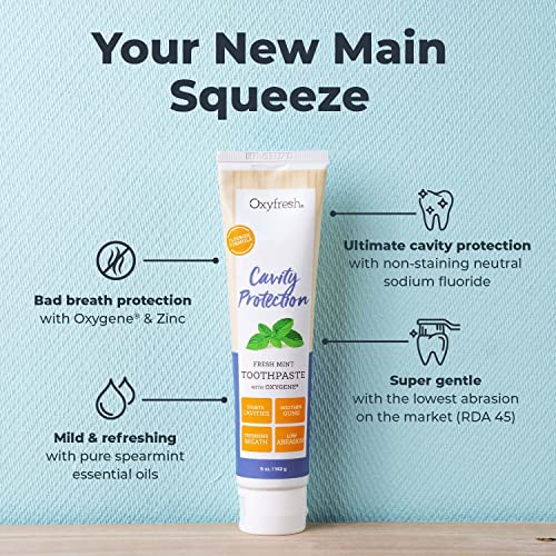Oxyfresh Premium Fluoride Toothpaste - Fresh Mint, Top Seller | Cavity Protection & Enamel Strengthening