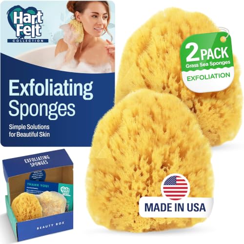 HartFelt Natural Grass Sea Sponge - 2 Bath Sponges (4in) for Exfoliating & Cleansing | Eco-Friendly with Mesh Bag