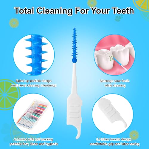 355-Piece Interdental Brush and Floss Pick Set for Braces - Multicolor
