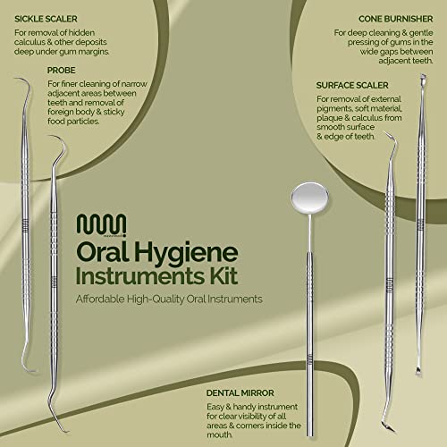 MasterMedi 6-Piece Stainless Steel Dental Tool Kit with Storage Case