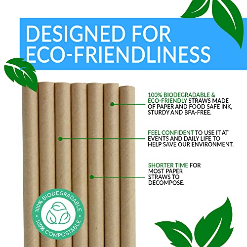 Reli. 400 Pack Kraft Brown Paper Straws - Biodegradable & Disposable