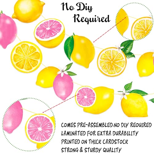 Lemon Pink Citrus Birthday Banner Set - Glitter Garland for Girls