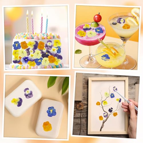80 Pcs Dried Edible Flowers for Cake Decorating & Crafts