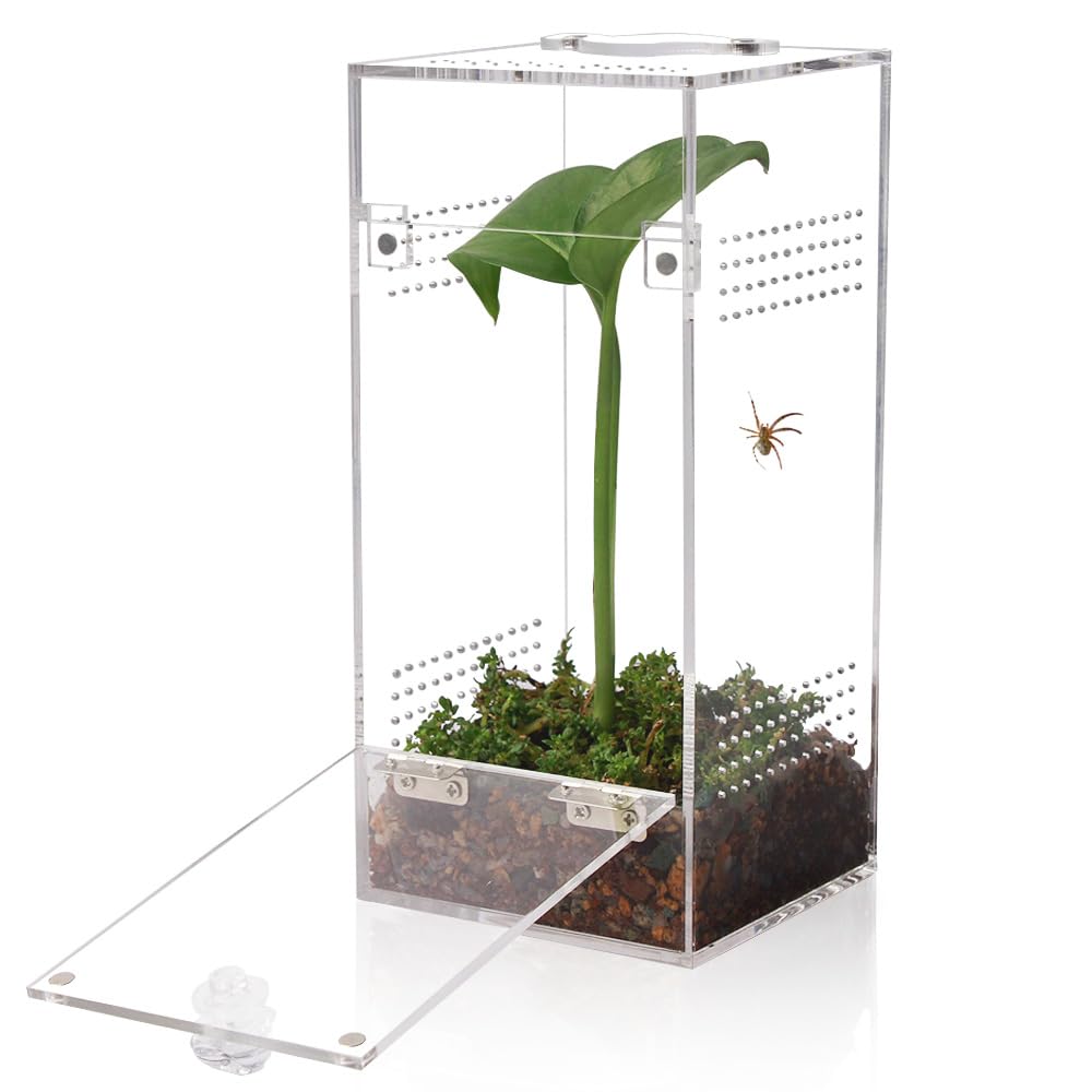JHCYULUO Jumping Spider & Tarantula Enclosure, Snail & Praying Mantis Habitat, Insect & Small Reptile Terrarium (6.8x3.1x3.1inch)