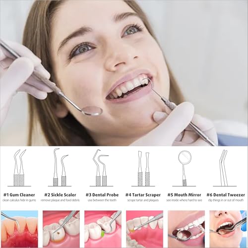 Jimy 6-Piece Dental Tool Set, Stainless Steel Plaque & Tartar Remover