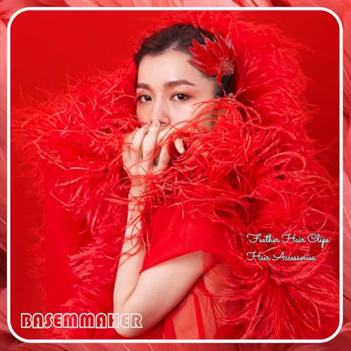 Red Feather Hair Clips - 2 Pcs Ballet Style Crystal Flower Barrettes