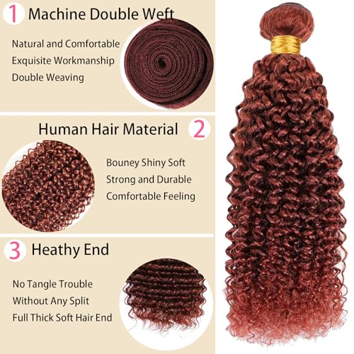 Burgundy Jerry Curly Human Hair Bundles - 12-34 Inch Soft Sewn In