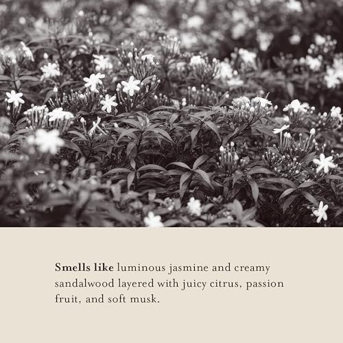A LA MAISON Jasmine & Santal Hand Soap Refill Pouch - Eco-Friendly, Plant-Based 16.9 fl oz