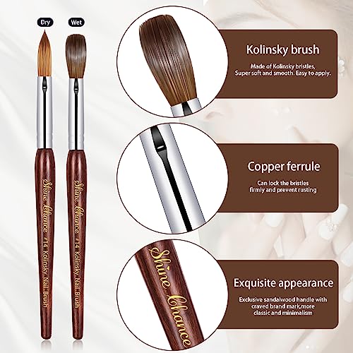 Shine Chance #14 Oval Acrylic Nail Art Brush Brown Kolinsky Sable for Manicure