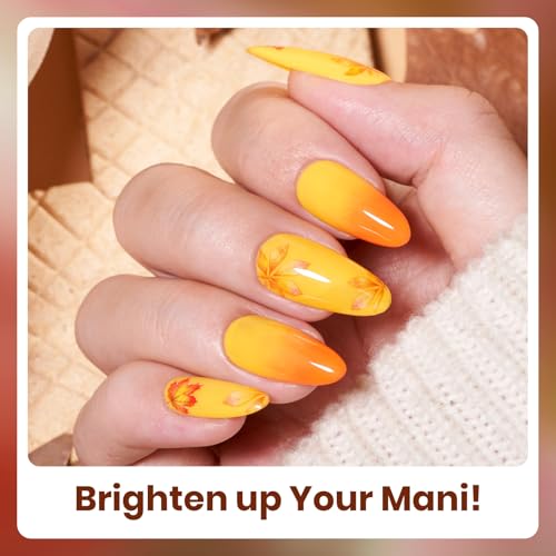 Beetles Fall Gel Polish Set - 6 Autumn Colors for Nail Art