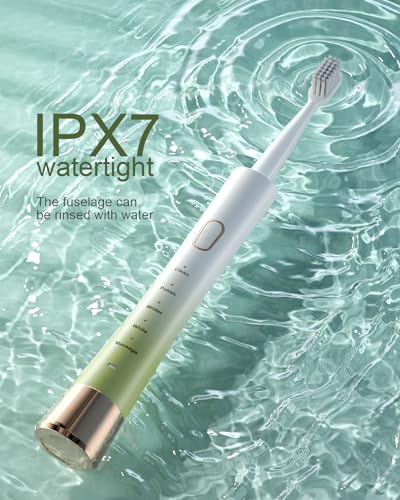 AJELU Sonic Electric Toothbrush for Adults with 8 Brush Heads