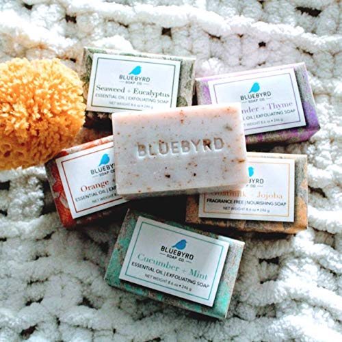 Bluebyrd Orange & Clove Exfoliating Soap Bar - 100% Vegan, 8.6oz