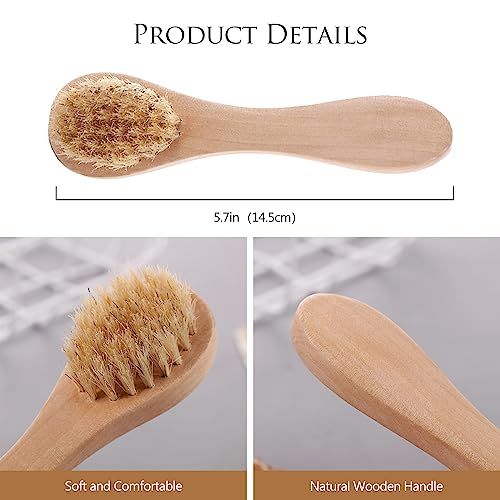 Kootinn Mini Dry Brush 2 Pack - Natural Bristle Exfoliating Facial Brush