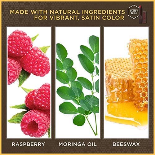 Burt's Bees Natural Moisturizing Lipstick Nile Nude - 1 Tube