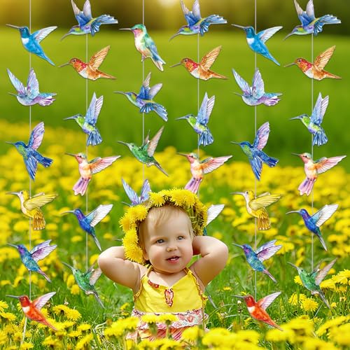 Hummingbird Birthday Party Decorations - Set of 6 Colorful Garlands