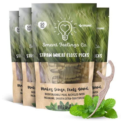 Biodegradable Dental Floss Picks - Eco-Friendly Cornstarch & Bamboo, 200 Count