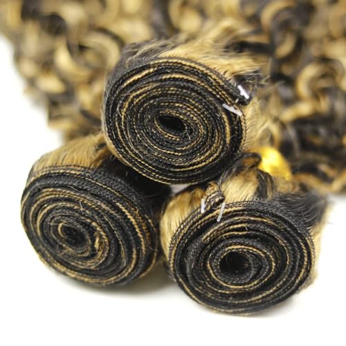 Habiliana 12A Brazilian Jerry Curly Human Hair Bundles - P1B/27 Chocolate