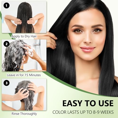 Black Hair Dye Shampoo - 3 in 1 Semi-Permanent Color for Gray Coverage