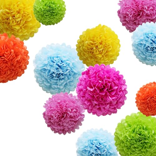 Colorful Tissue Paper Pom Poms - 12Pcs Fiesta Party Decorations