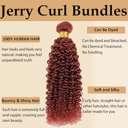 Burgundy Jerry Curly Human Hair Bundles - 12-34 Inch Soft Sewn In