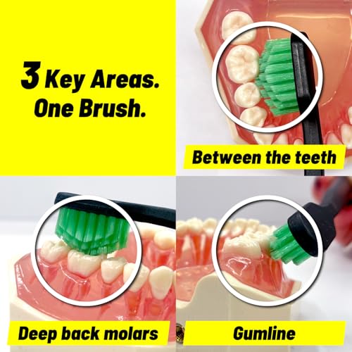 Mount Fuji Pyramid Toothbrush, Medium Bristle Deep Cleaning 3-Pack